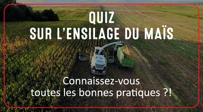 Quiz sur l'ensilage du maïs