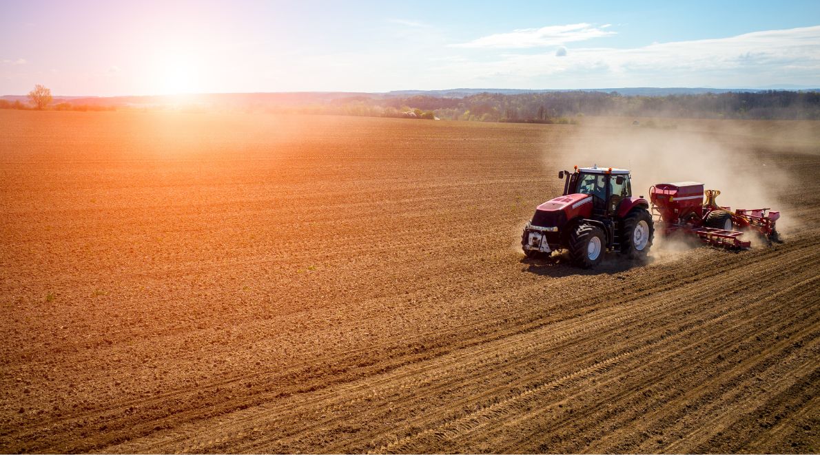 Définissez la date optimale de vos semis maïs et tournesol