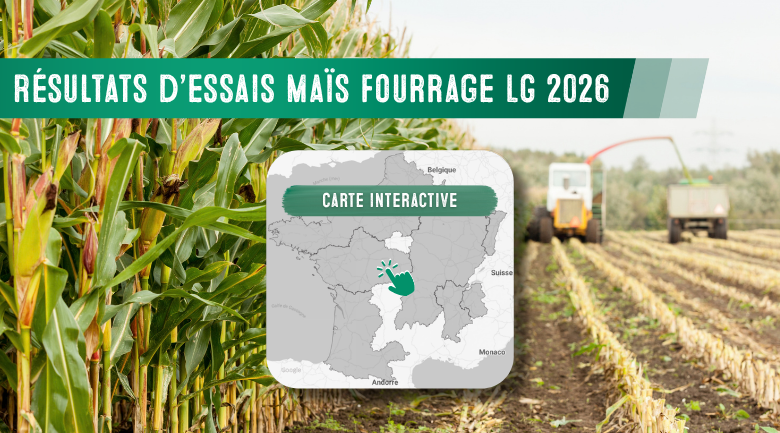 Les derniers résultats d'essais des maïs fourrage LG