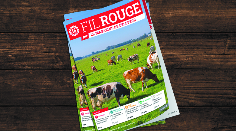 Fil Rouge n°37 - juin 2025