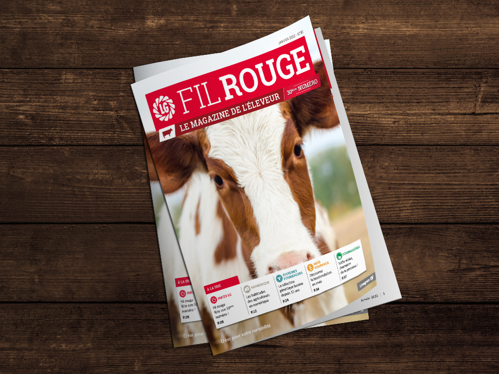 Fil Rouge