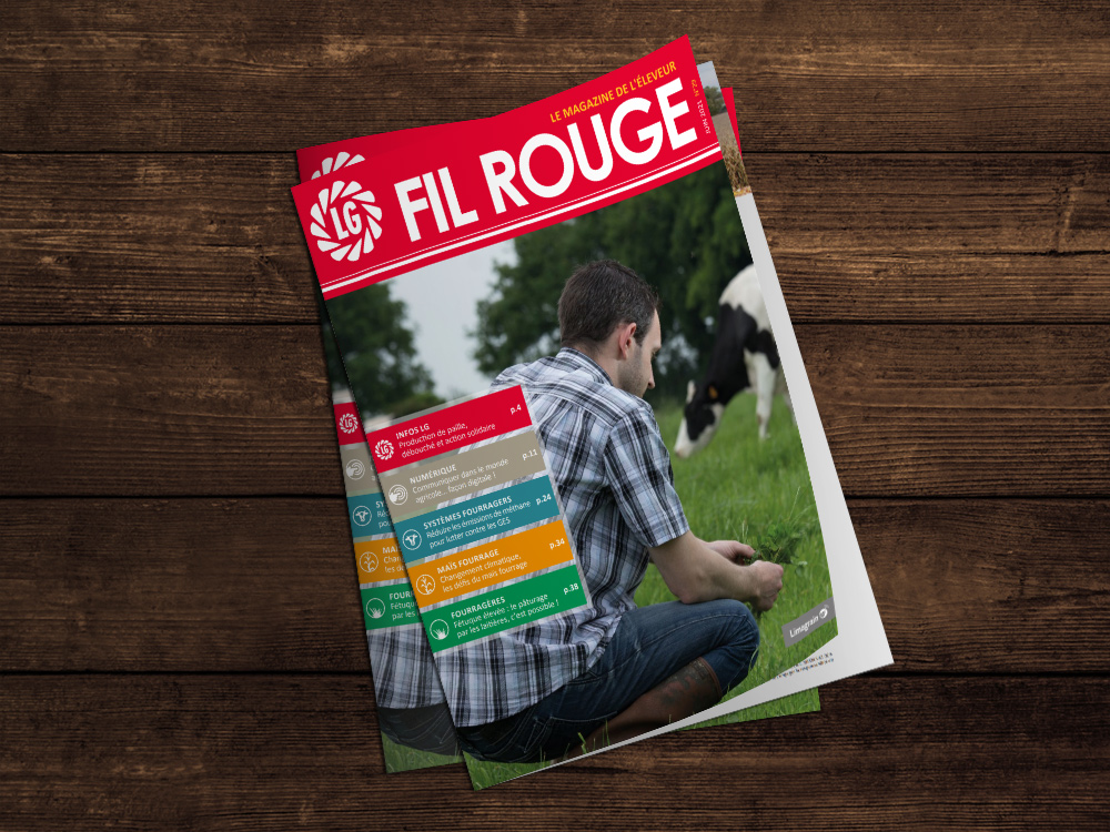 Fil Rouge