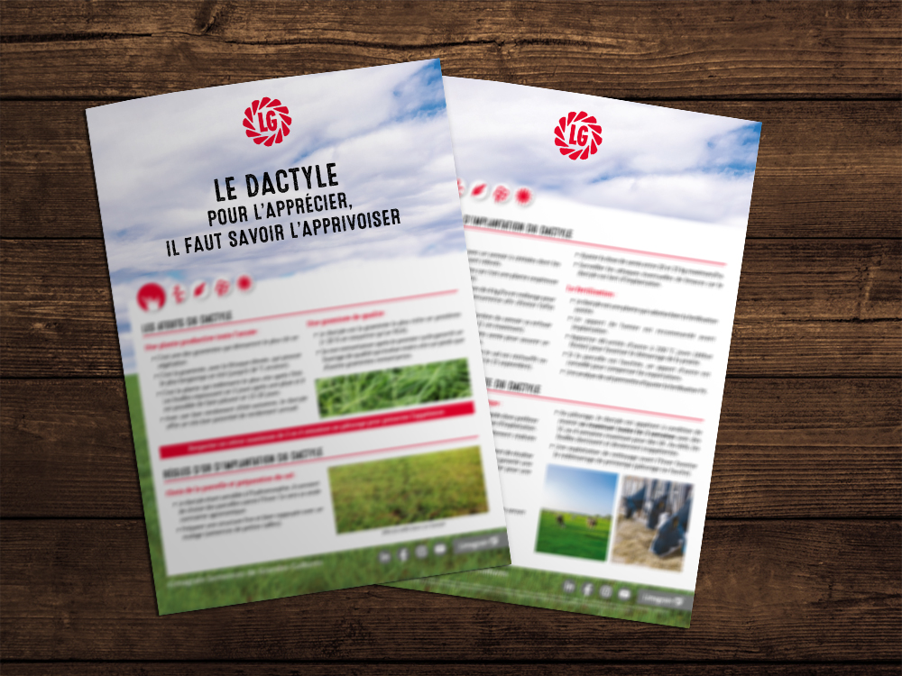 Atouts et règles d'or pour conduire cette plante fourragère