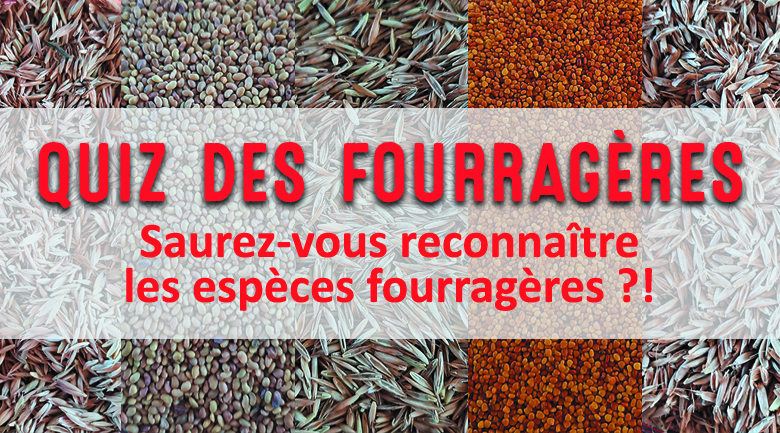 Quiz des fourragères
