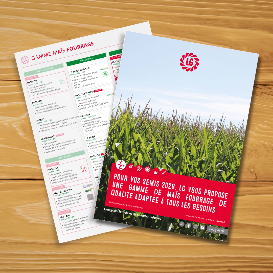 Découvrez tous nos conseils pour réussir l'ensilage  de votre maïs !