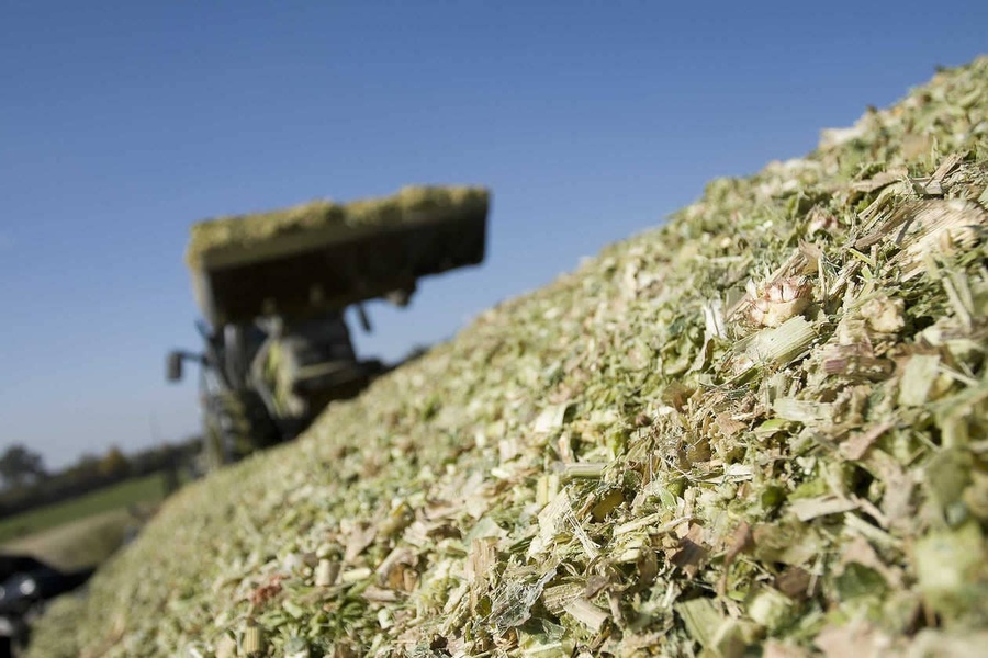 Confection du silo : comment réussir son hachage ?