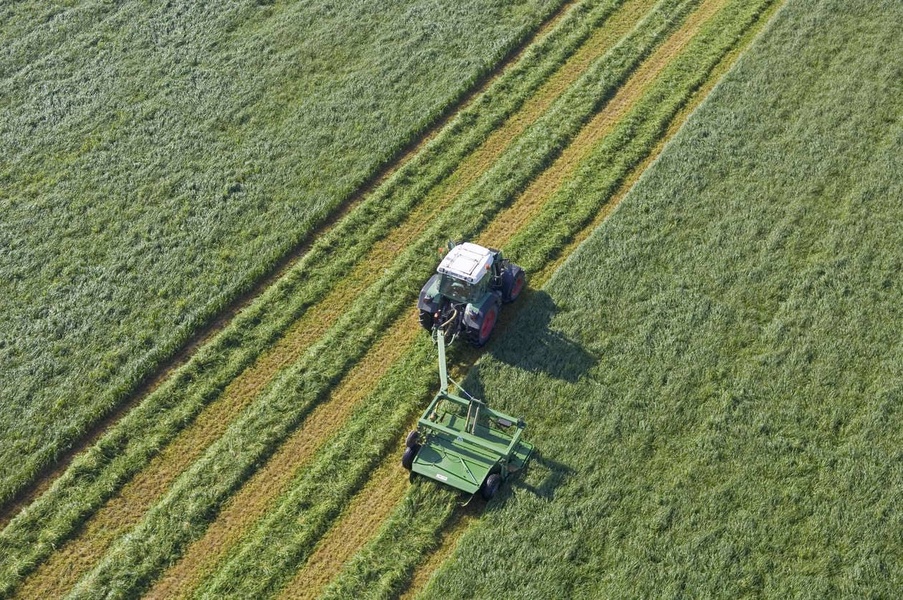 Quelle date optimale pour faucher ses prairies fourragères ?