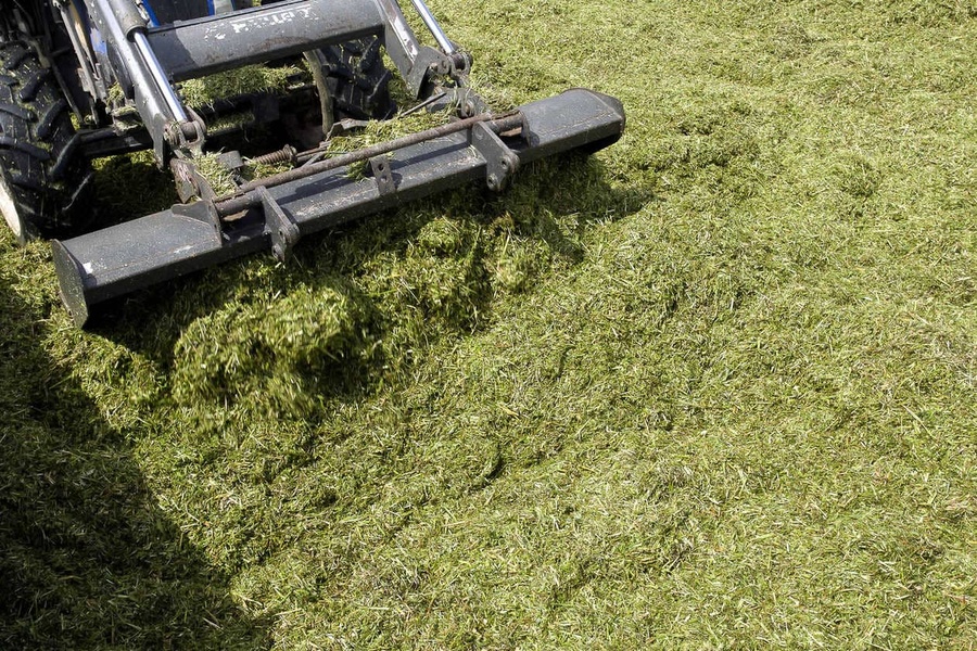 Prairies, réussir la conservation de son herbe en ensilage