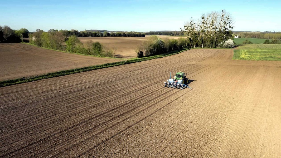 Date de semis maïs et tournesol à découvrir sur Mes Services LG