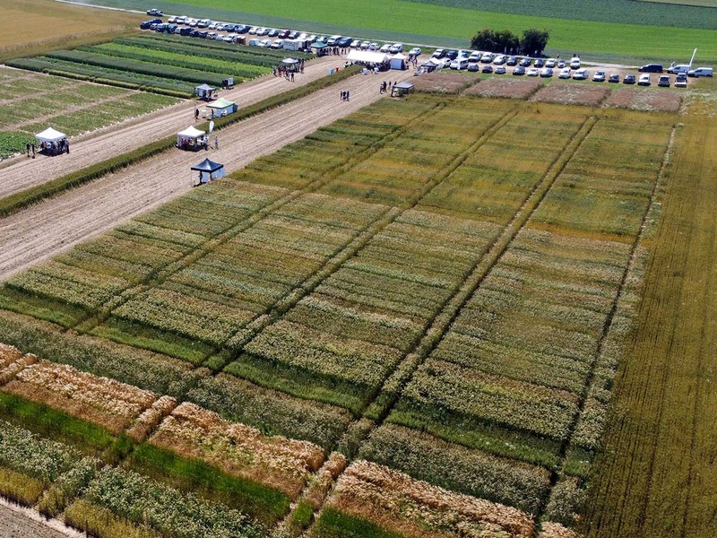 Expérimentation bio par les Chambres d'agriculture