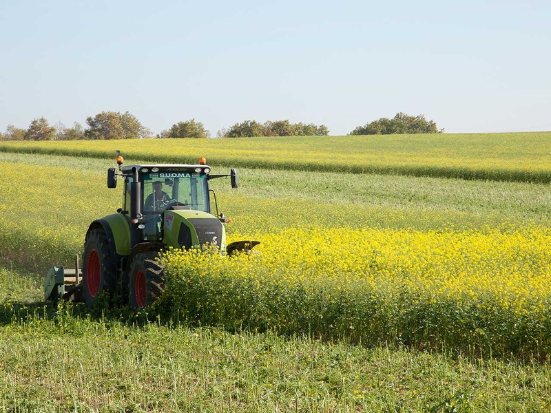 Couvrir son sol en bio : bénéfices ou prises de risque ?