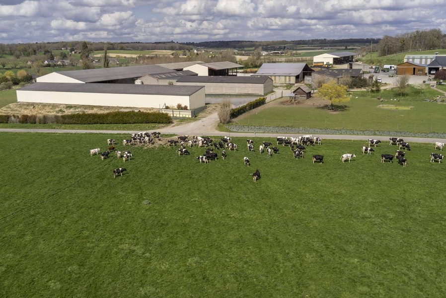 Récolter le maïs en ensilage d'épis, bonne ou mauvaise idée ?