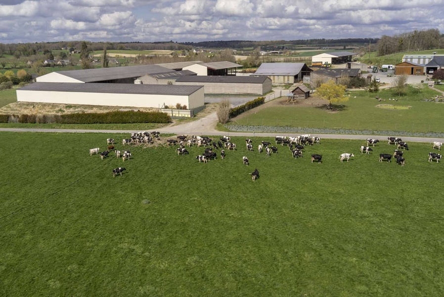 Les Fermes LG Progrès : récolter le maïs en ensilage d'épis