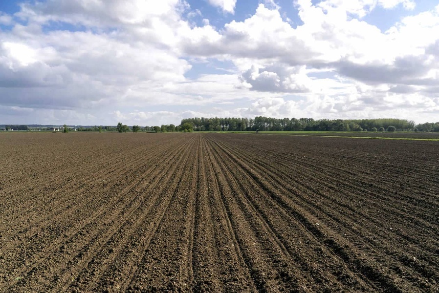 Comment préparer son sol au semis ? 