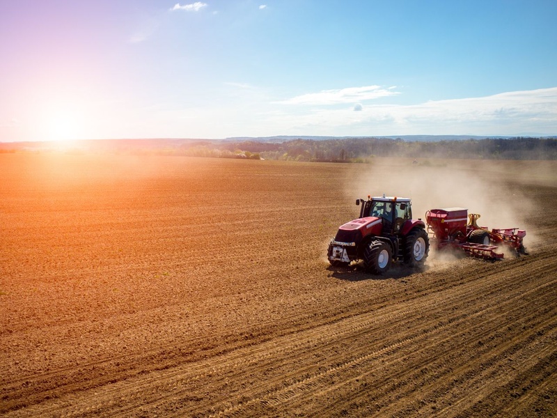 Date de semis maïs et tournesol à découvrir sur Mes Services LG