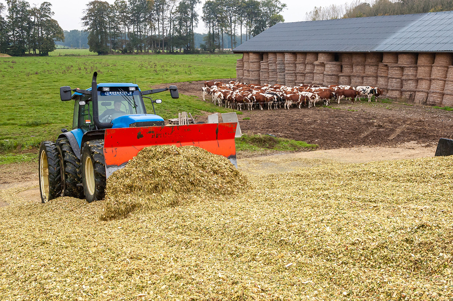 Couvrir un silo de maïs, étapes à connaître pour un bon ensilage