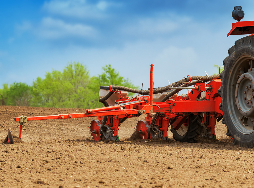 Quels sont les intérêts d’une date de semis précoce de son maïs ?