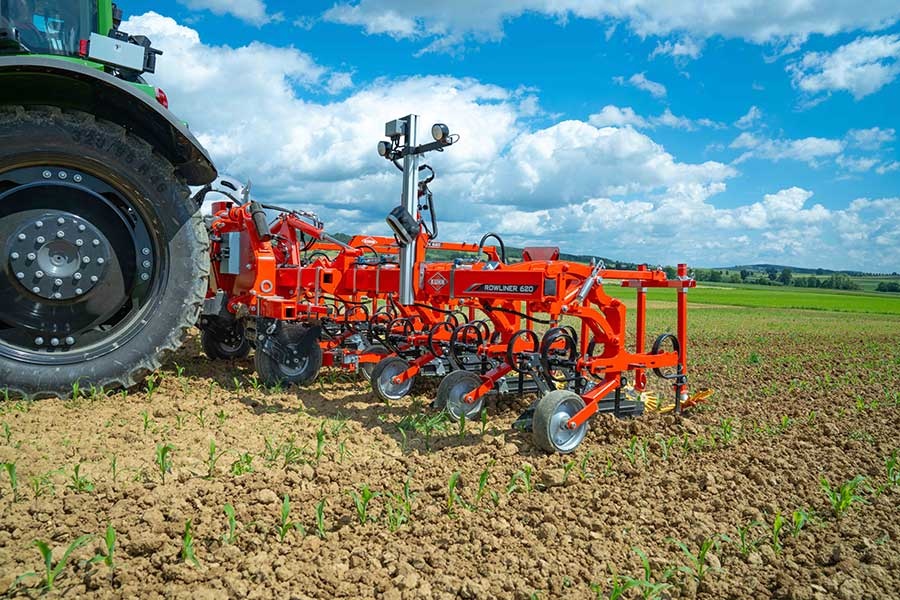 Tournesol Bio : le désherbage mécanique comme seule option