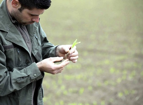Comment sécuriser mon rendement ?