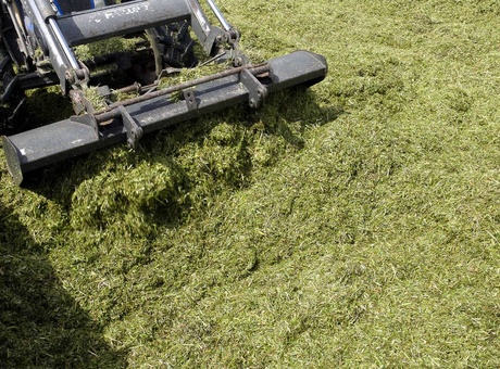 Prairies, réussir la conservation de son herbe en ensilage
