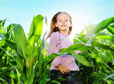 « Avec les maïs HDi®, j’ai constaté une hausse de la matière sèche ingérée et une progression de la production laitière »