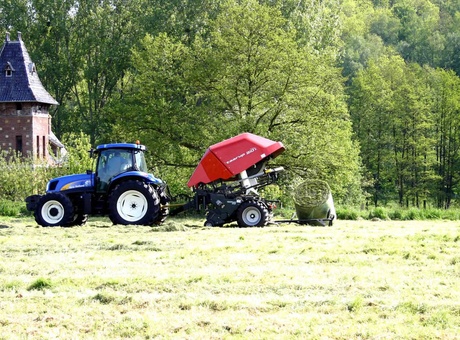 Récolte du foin : comment réussir la fenaison de vos prairies ?