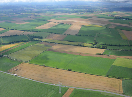 5 critères à prendre en compte pour construire sa rotation en Bio