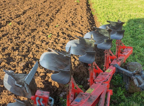 Optimiser sa rotation en Agriculture Biologique en 4 étapes