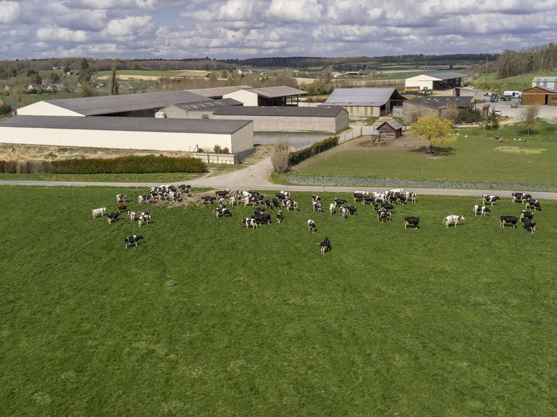 LES FERMES "LG PROGRÈS" : Récolter le maïs en ensilage d'épis