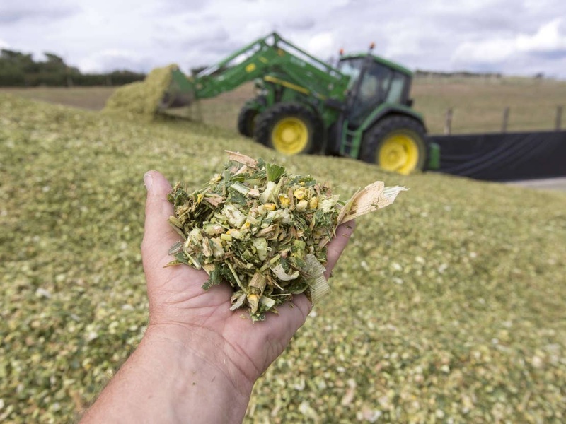 « Bien gérer son ensilage pour éviter les saccades dans la ration » 