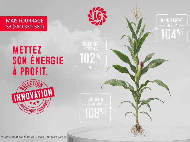 Maïs fourrage S3 : une innovation majeure pour les éleveurs