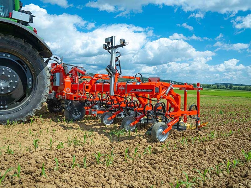 Tournesol Bio : le désherbage mécanique comme seule option