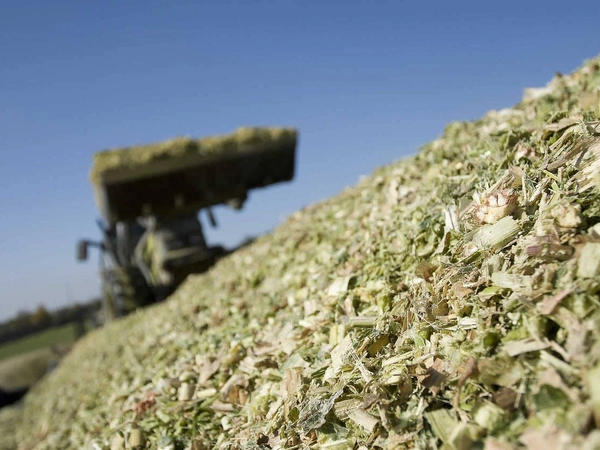 Confection du silo : comment réussir son hachage ?