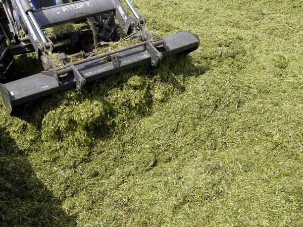 Prairies, réussir la conservation de son herbe en ensilage