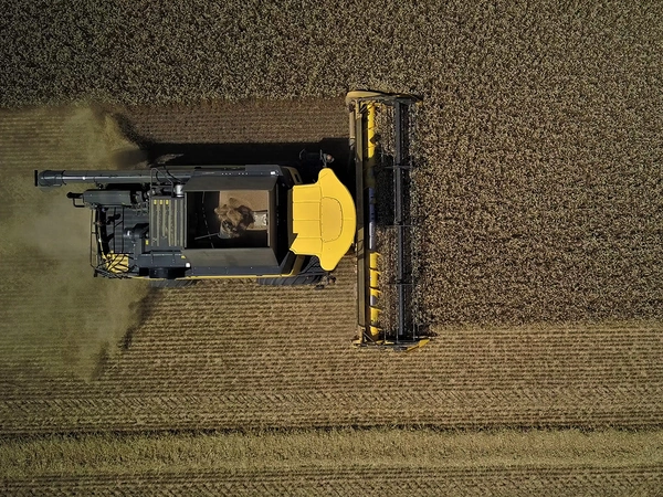 Récolter après de fortes pluies