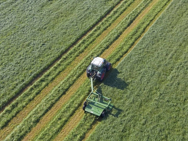 Quelle date optimale pour faucher ses prairies fourragères ?