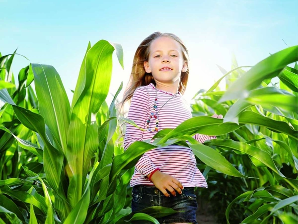 « Avec les maïs HDi®, j’ai constaté une hausse de la matière sèche ingérée et une progression de la production laitière »