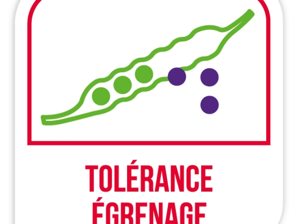 Tolérance égrenage