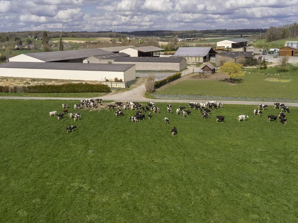 Les Fermes LG Progrès : récolter le maïs en ensilage d'épis