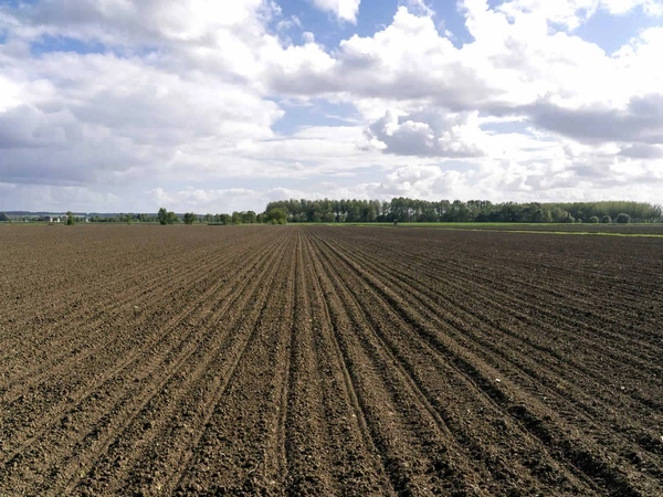 Comment préparer son sol au semis ? 