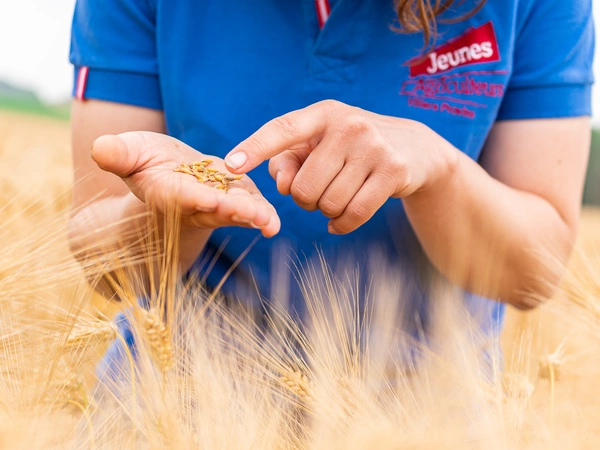 Rendement de l'Orge : Tous nos conseils pour l'optimiser
