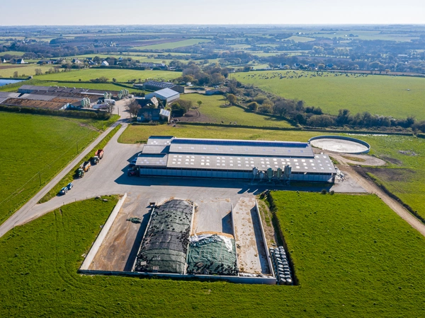 Les variétés de maïs ensilage HDi® valorisent très bien l’azote