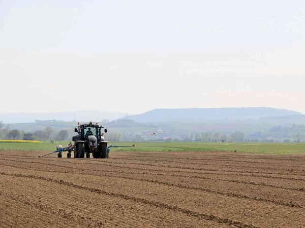 Engrais starter : bien alimenter son maïs fourrage dès le départ