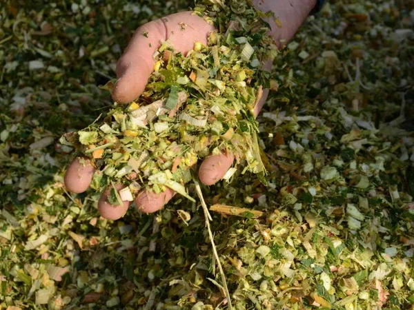 Silo Maïs Ensilage : 4 éleveurs décryptent les résultats de duels