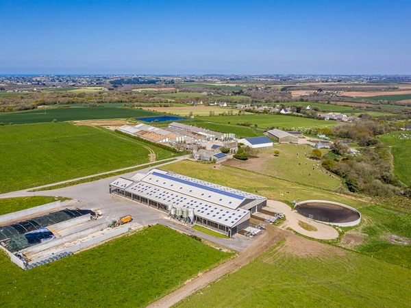 FERMES LG PROGRÈS : Récolter le maïs en ensilage d'épis ?