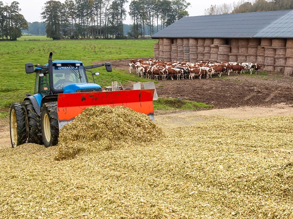 Couvrir un silo de maïs, étapes à connaître pour un bon ensilage