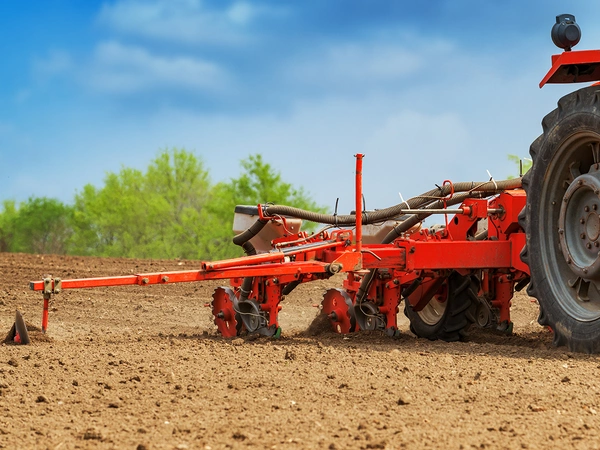 Quels sont les intérêts d’une date de semis précoce de son maïs ?