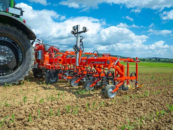 Tournesol Bio : le désherbage mécanique comme seule option
