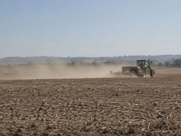 Semis d'automne bio : Quelles stratégies face aux conditions sèches ?