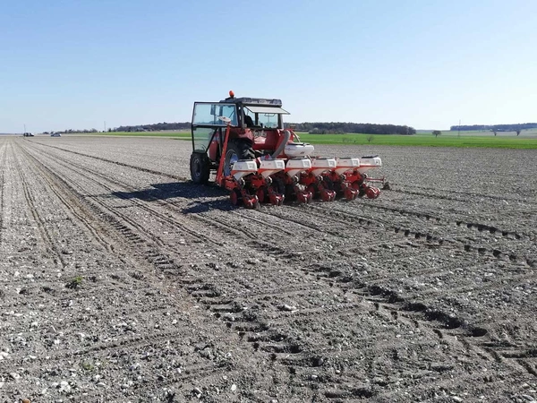 Semis de printemps : un démarrage dynamique en Bio